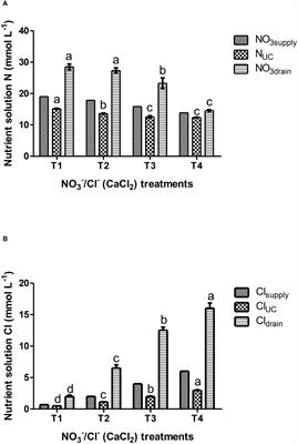 Partial substitution of nitrate by chloride in fertigation recipes allows for lower nitrate input in hydroponic lettuce crops